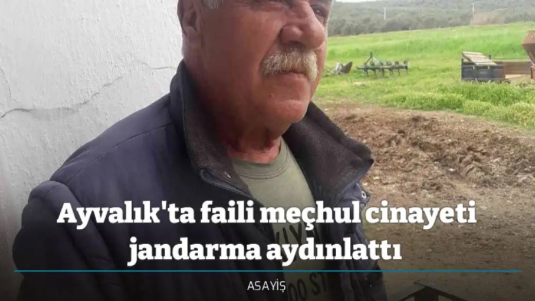 Ayvalık'ta faili meçhul cinayeti jandarma aydınlattı