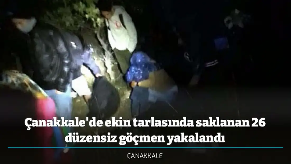 Çanakkale'de ekin tarlasında saklanan 26 düzensiz göçmen yakalandı