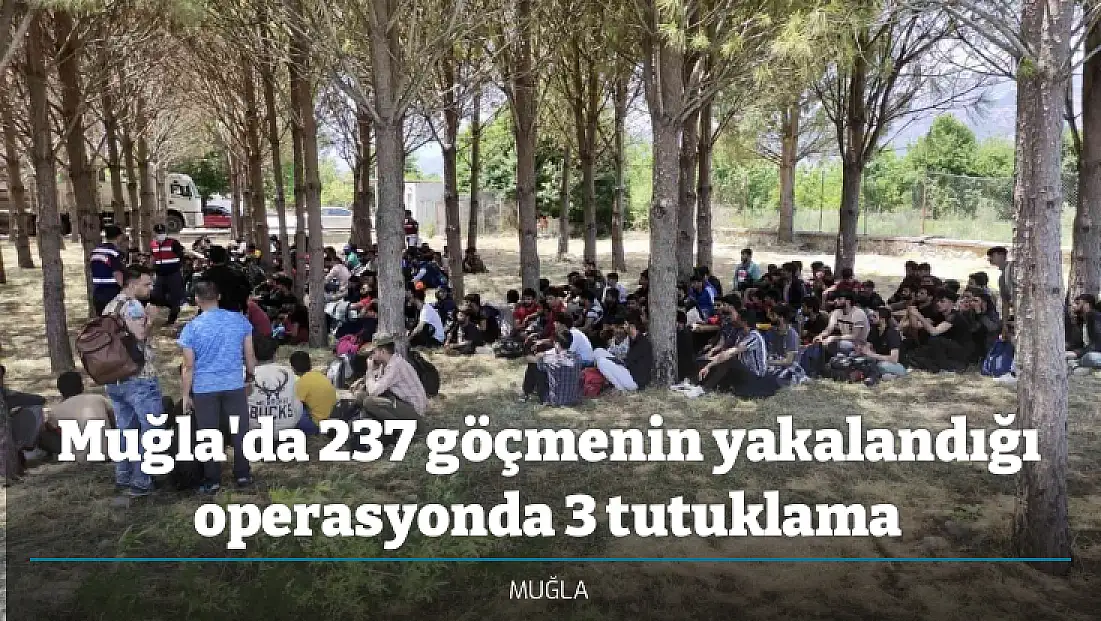 Muğla'da 237 göçmenin yakalandığı operasyonda 3 tutuklama