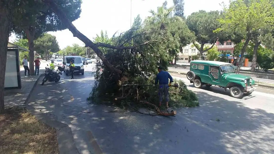 Aydın'da faciadan dönüldü