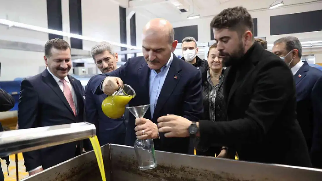 Bakan Soylu zeytinin zeytinyağına ait serüveni izledi