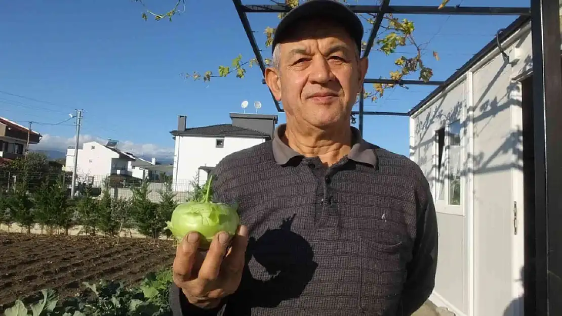 Balıkesir'de emekli eğitimci hobi bahçesinde 'alabaş' turbu yetiştirdi