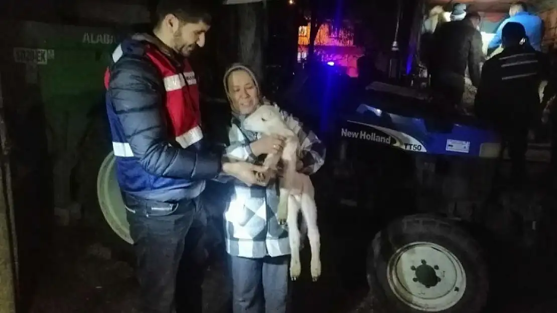 Balya'dan çalınan koyunlar Kepsut'ta ele geçirildi