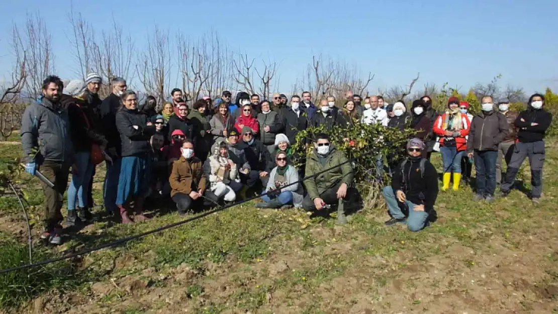 Burhaniye'de Kaymakam Memiş kursiyerleri ziyaret etti, budama yaptı