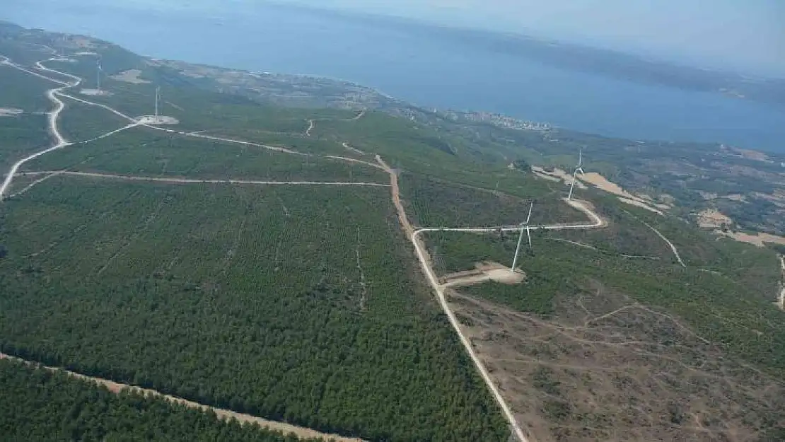 Çanakkale'de 2008 yılında küle dönen alan dikilen 2 milyondan fazla fidanla yeniden yeşillendi