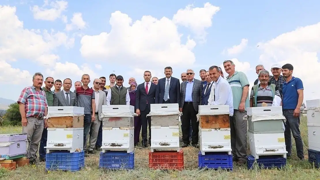 Emet'te arıcılık canlandırılıyor