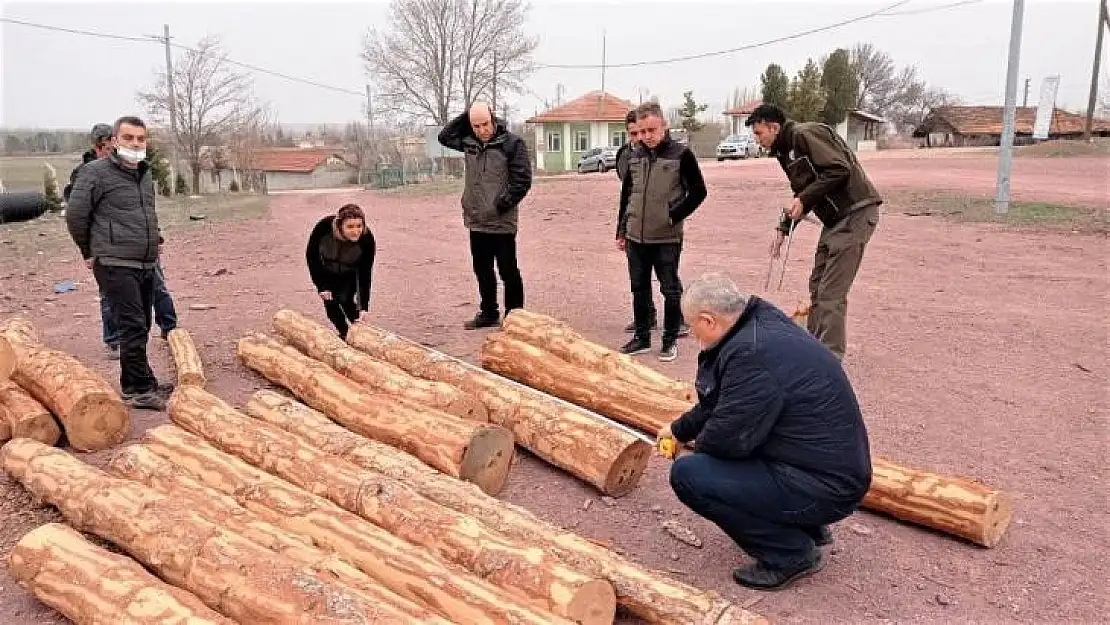 Kütahya'da orman satış depolarında uygulamalı eğitim