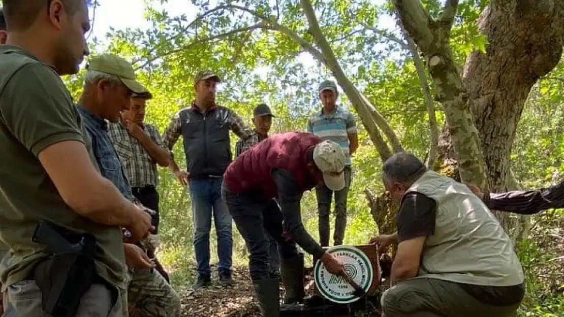 Yenipazar'da yaban hayatı için su yalakları yerleştirildi