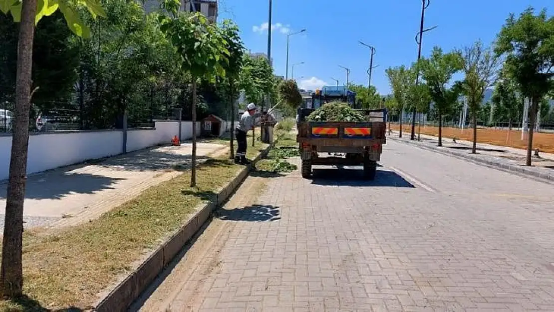 Yunusemre'de ot biçme çalışmaları devam ediyor