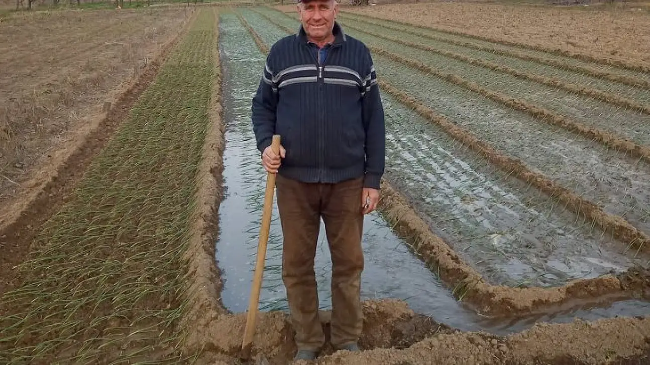 Mor soğanda hedef bin 200 ton