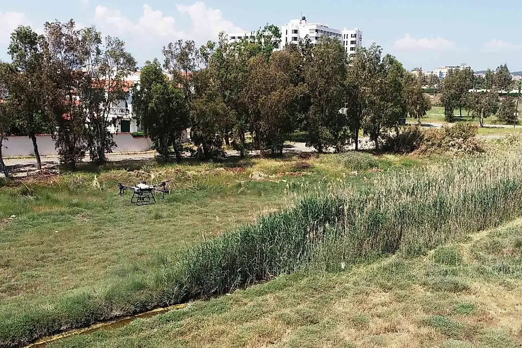 ZİHA'ların hedefinde sivrisinekler var