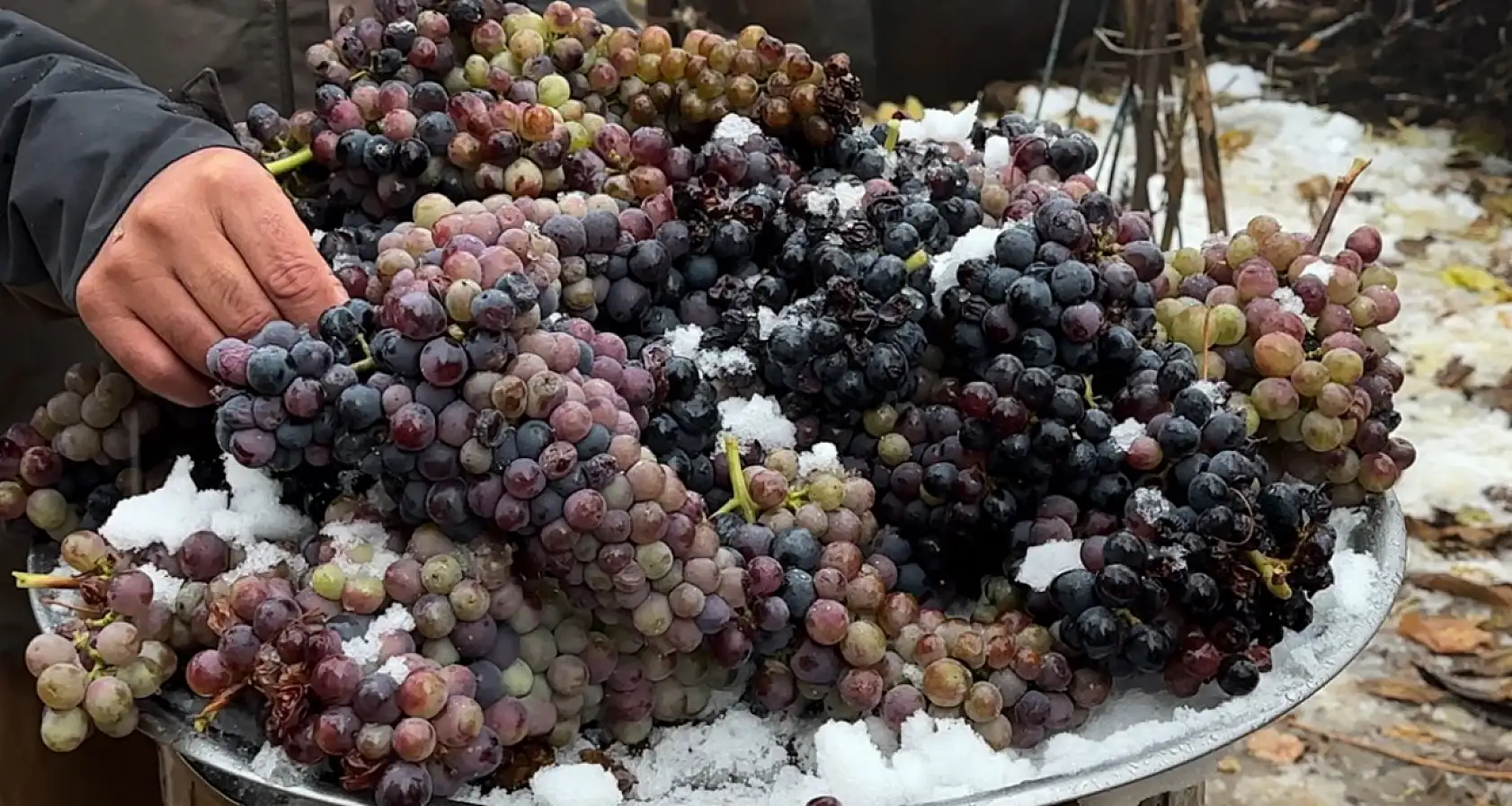 Maduro'dan Kolombiya'ya 'mükemmel birlik' çağrısı