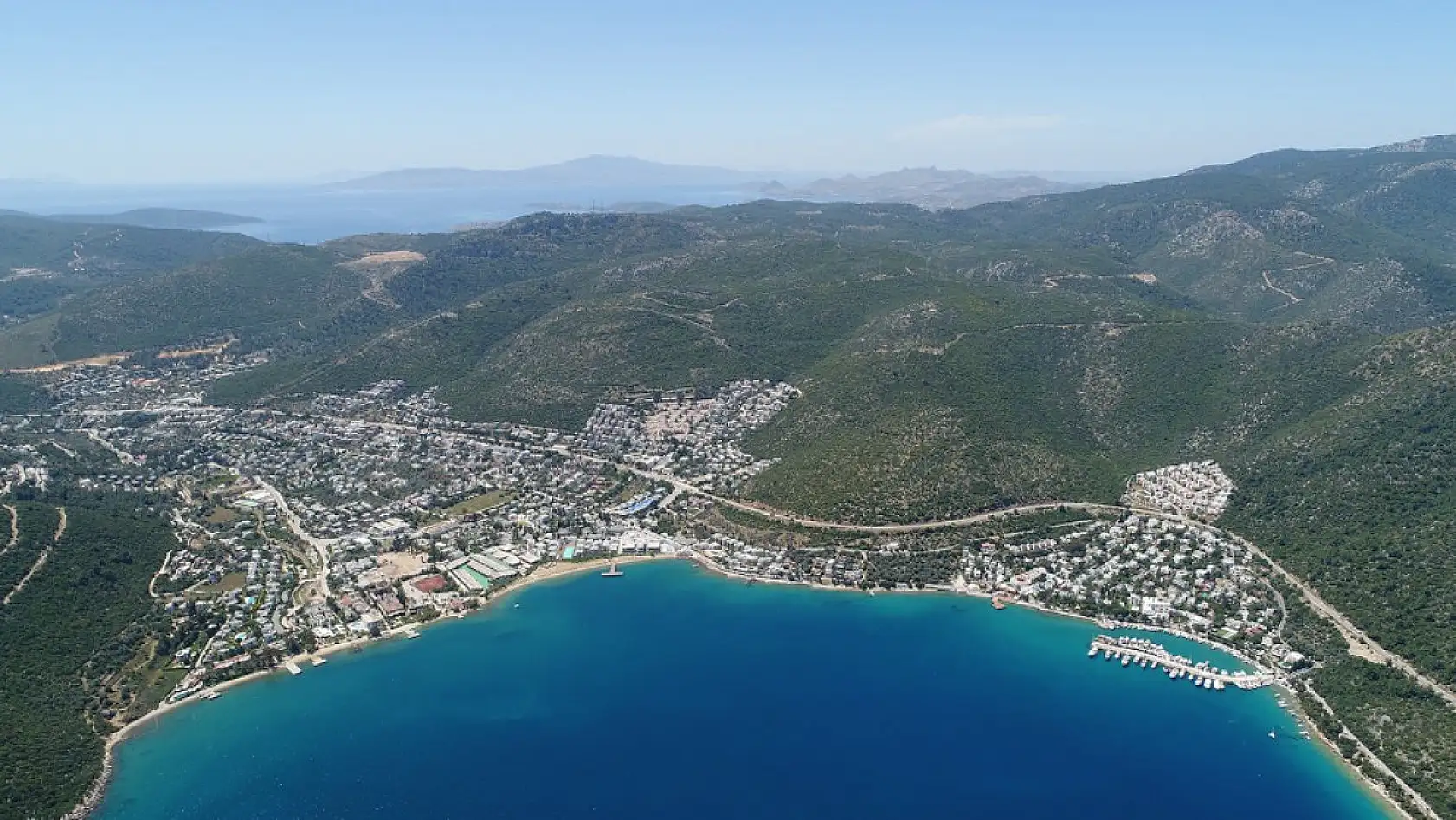 Yanan ormanlar yeniden yeşerdi