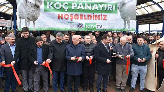Koçlar Gönen'de panayırda boy gösterdi