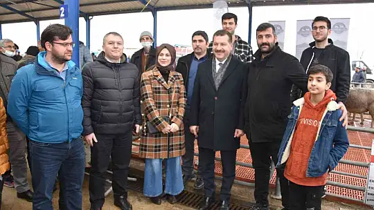 Koçlar Gönen'de panayırda boy gösterdi