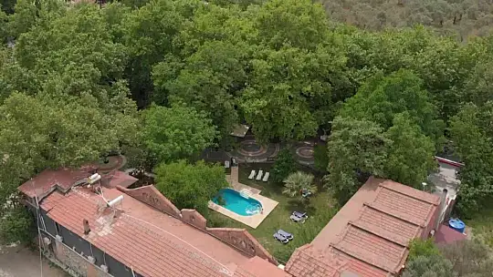 (Özel) Kazdağları'nın eteklerindeki 400 yıllık anıt ağaçlar turizme kazandırılıyor