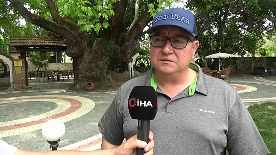 (Özel) Kazdağları'nın eteklerindeki 400 yıllık anıt ağaçlar turizme kazandırılıyor