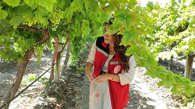 Almanya'da evsizlerin sayısı yüzde 8 artarak 474 bini aştı