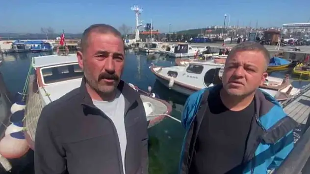 Çanakkale Boğazı'nda yaklaşık 300 kilogram ağırlığında köpek balığı yakaladılar