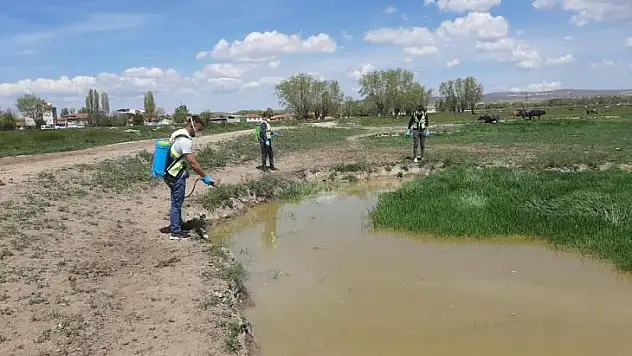 Haşerelere karşı başarılı mücadele