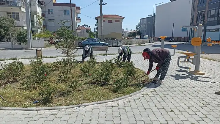 Burhaniye'de yabani otlar temizleniyor