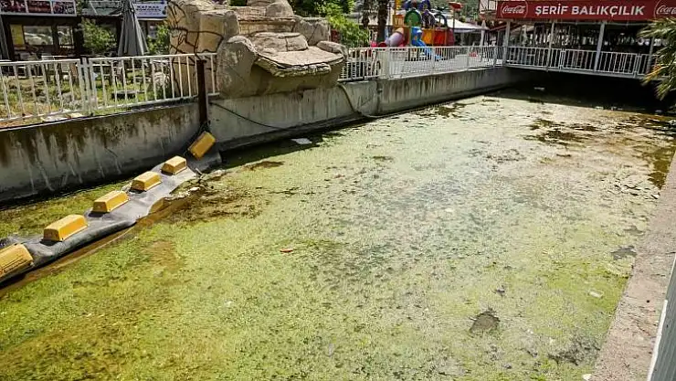 Seferihisar'da esnafı endişelendiren görüntü